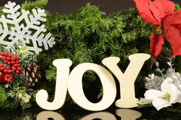 Festive Holiday Scene Joyful Expression — Stock Photo, Image