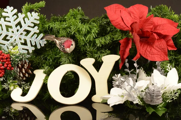 Festive Holiday Scene Joyful Expression — Stock Photo, Image