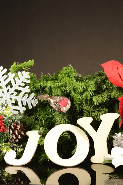 Festive Holiday Scene Joyful Expression — Stock Photo, Image