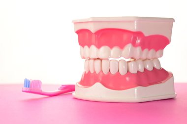 Diş mankeni ve pembe diş fırçası bize dişlerimizi fırçalamamızı hatırlatıyor..