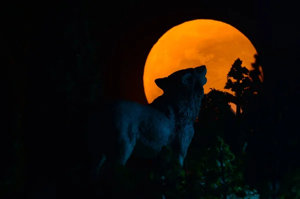 A full moon rising with a wolf howling on top of the horizon giving a focus on his silouetted head.