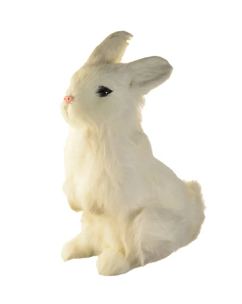 Изолированный Белый Кролик Чистом Ярком Фоне — стоковое фото