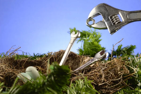 Une Image Conceptuelle Pour Nourrir Nid Oiseaux Aide Clés Molette — Photo