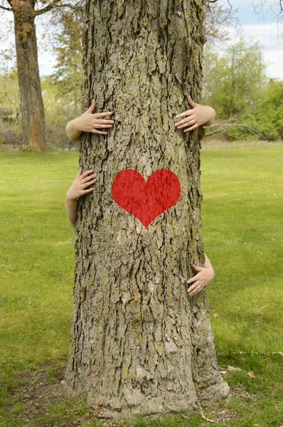 Conceptual Image Several Peoples Arms Hugging Large Tree Several Environmentalists — Stock Photo, Image