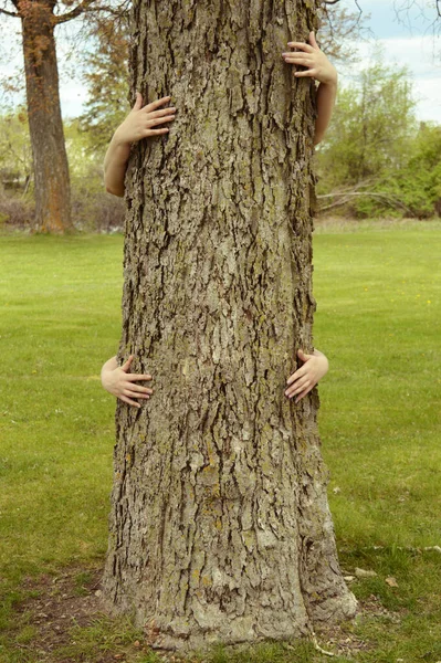 Uma Imagem Conceitual Vários Braços Povos Abraçando Uma Árvore Grande — Fotografia de Stock