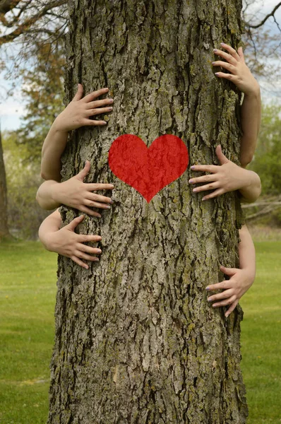 A conceptual image of several peoples arms hugging a large tree for several environmentalists ideas to illustrate.