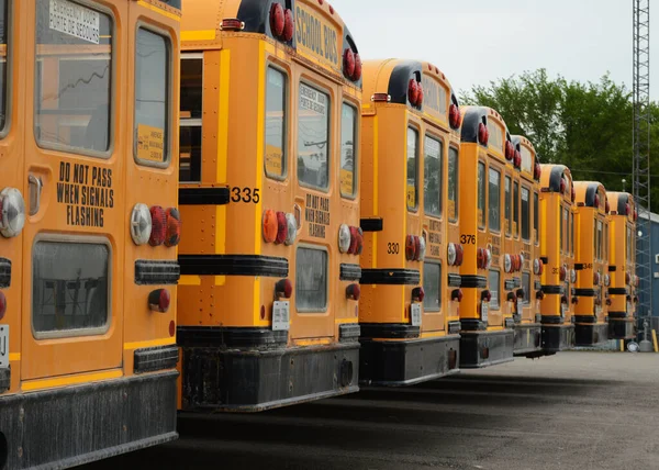 Wiele Autobusów Szkolnych Zaparkowanych Parkingu Podczas Gdy Nie Używane Jezdni — Zdjęcie stockowe