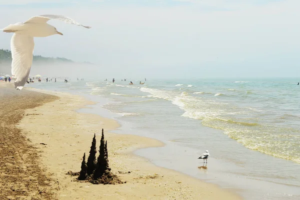 Una Scena Della Spiaggia Durante Caldo Attività Diurne — Foto Stock