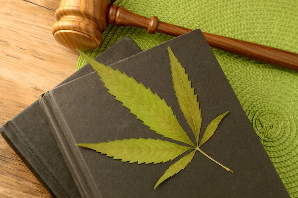 Una Imagen Conceptual Enfocada Información Legal Marihuana Usando Libros Martillo Imagen de stock