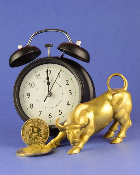 Content Related Bullish Crypto Market Time — Stock Photo, Image