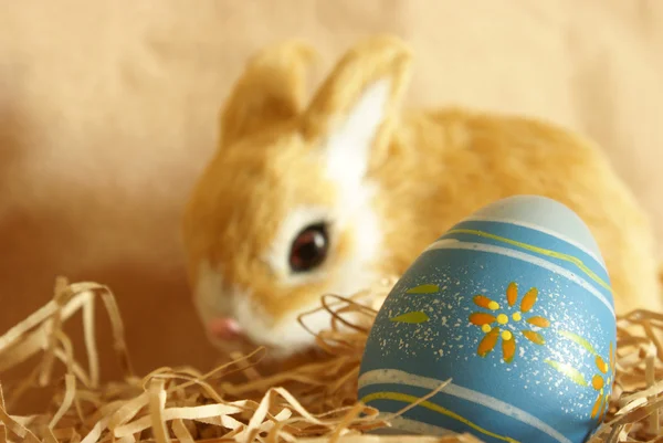 Uovo di coniglietti di Pasqua — Foto Stock