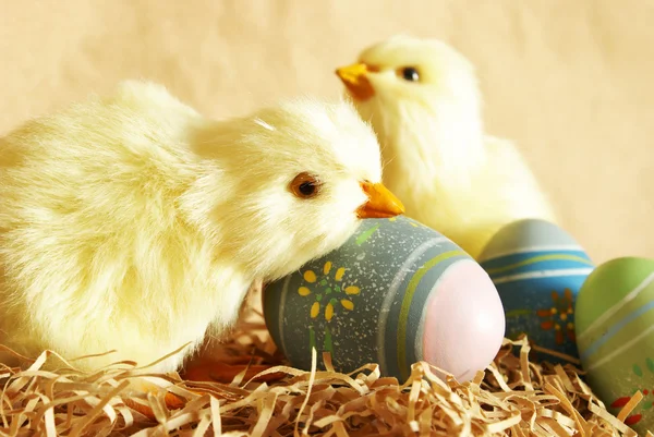 Easter Chicks Eggs — Stock Photo, Image