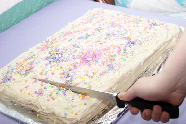 Cutting The Cake — Stock Photo, Image