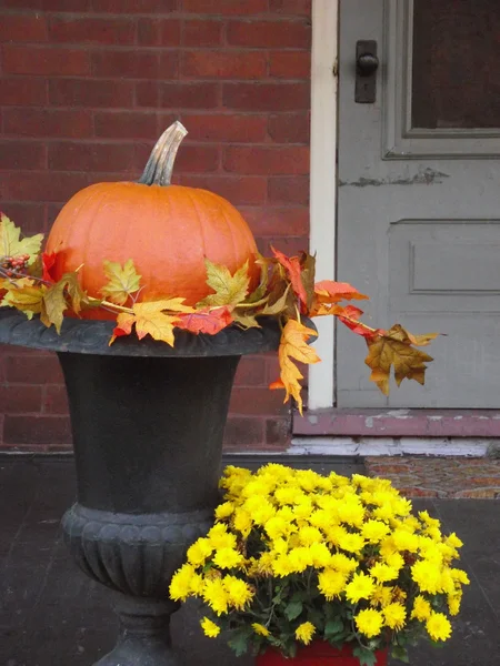 Autumn Decor Scene — Stock Photo, Image