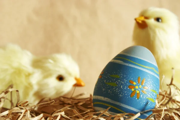 Easter Egg Chicks — Stock Photo, Image