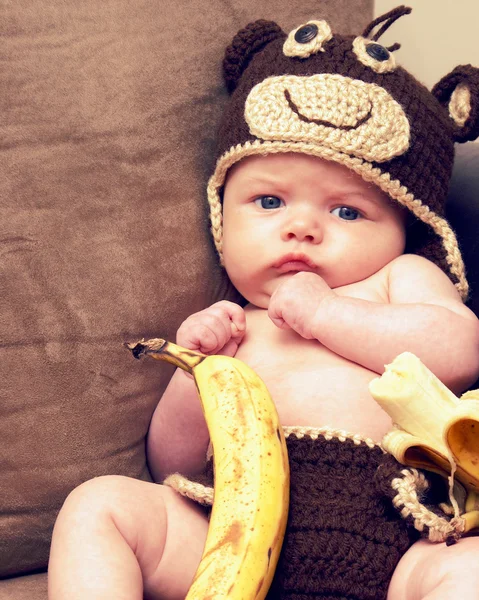 Μαϊμού τρέλα μωρό — Φωτογραφία Αρχείου