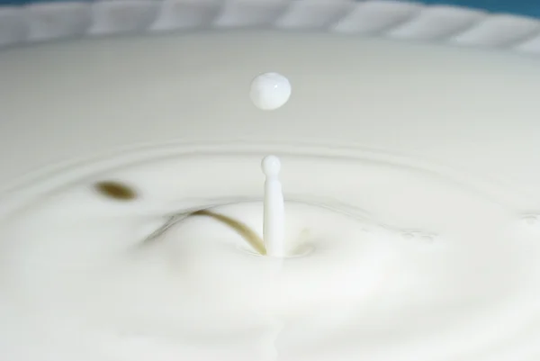 Goccia di latte Primo piano — Foto Stock