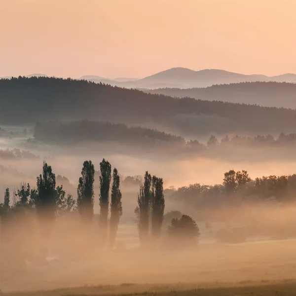 Lever de soleil brumeux — Photo