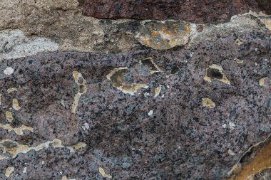 Taş duvar eski alçı yıpranmış ve yosunla kaplanmış.