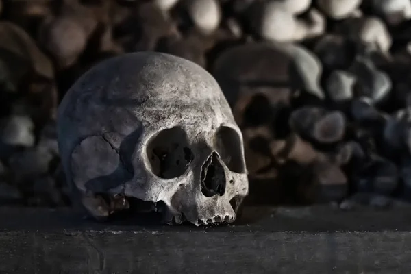 Cranio Umano Vecchio Grigio Tonica Raccapricciante Mostra — Foto Stock