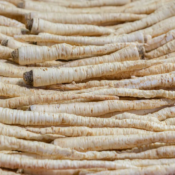 Arka Plan Yaban Havucu Beyaz Kökü Uzun Kök Sebze Tasarımı — Stok fotoğraf