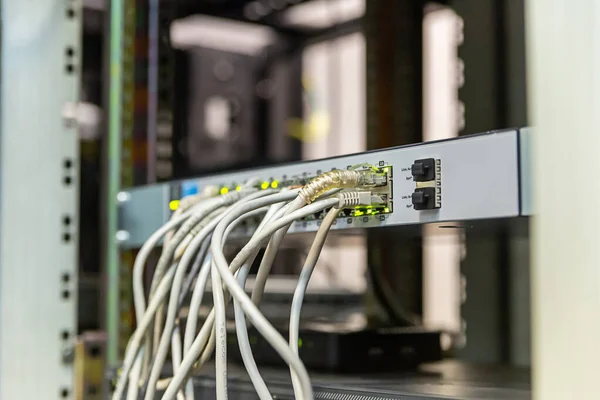 Cables Transmisión Señal Centro Datos Rj45 Primer Plano Centro Internet Imágenes de stock libres de derechos