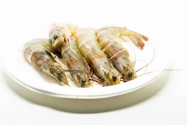 Set Gray Fresh Seafood Shrimp White Plate — Stock Photo, Image