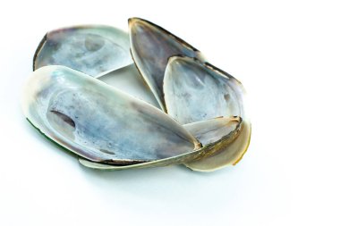 Beyaz izole edilmiş arkaplanda incinin kabuğunu aç