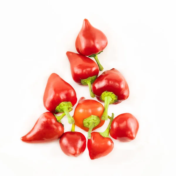 Vaina Picante Pimiento Rojo Sobre Condimento Fondo Aislado — Foto de Stock