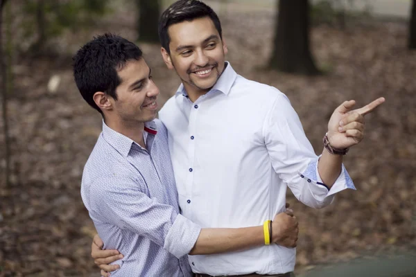 Hermosa pareja gay Imágenes de stock libres de derechos