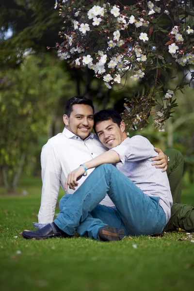 Hermosa pareja gay relajante Fotos de stock