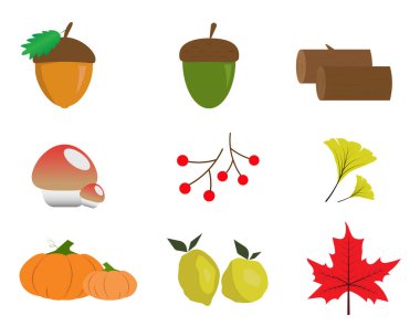 yapraklar sonbahar ve beyaz arkaplan için renkli.