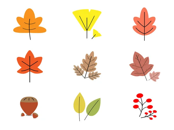 Blätter Pflanze Bunt Für Den Herbst Und Weißen Hintergrund — Stockvektor