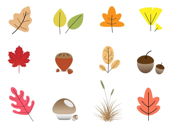 Blätter Pflanze Bunt Für Den Herbst Und Weißen Hintergrund — Stockvektor