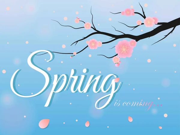 Hallo Frühling Text Vektor Banner Grüße Design Mit Bunten Blume — Stockvektor