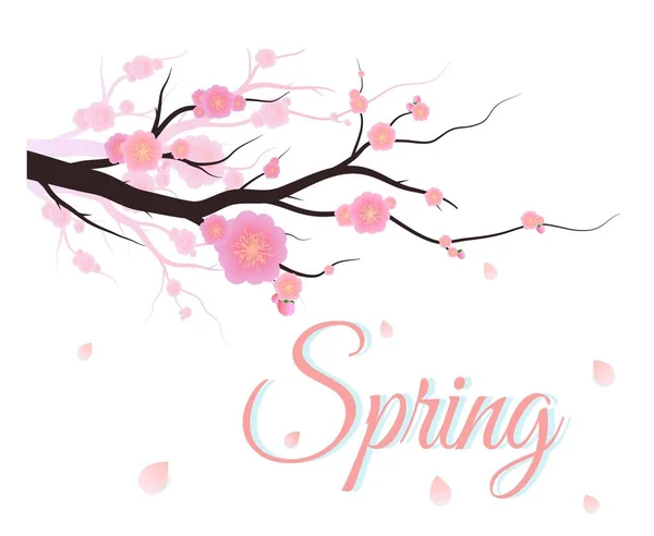 Spring Coming Vector Banner Greetings Design Colorful Flower Blooming Spring — Stock Vector