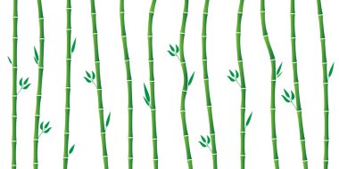 Bambu ağacı koleksiyonu. Herhangi bir doğa ya da sağlıklı yaşam tarzını göstermek için kullanılabilir..