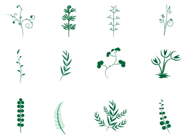 Objet Beaucoup Congé Branche Pour Logo Couleur Verte — Image vectorielle