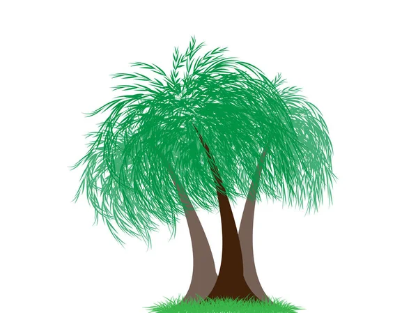 Velký Strom Zelenými Listy Vypadá Čerstvě Zelená Tráva Může Být — Stockový vektor