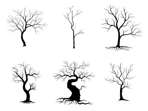 Arbre Branches Noires Silhouettes Arbres Nus Illustrations Isolées Dessinées Main — Image vectorielle