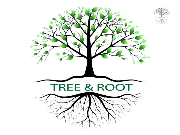 Träd Med Gröna Blad Ser Vackra Och Uppfriskande Träd Och — Stock vektor