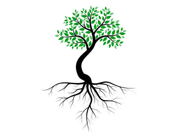 Zöld Levelű Fák Gyönyörűek Üdítőek Gyökerek Logo Stílus — Stock Vector