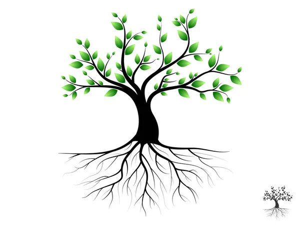 Деревья Зелеными Листьями Выглядят Красиво Освежающе Логотип Дерева Корней — стоковый вектор