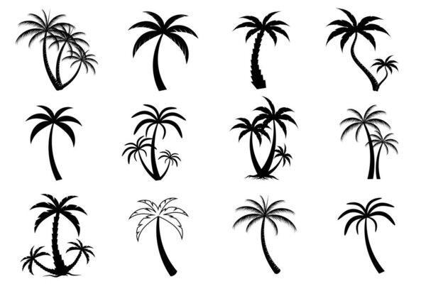 Collection of Black Coconut trees Icon. Can be used to illustrate any nature or healthy lifestyle topic.