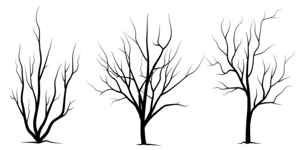 Black Branch Tree or Naked trees silhouettes set. Hand drawn isolated illustrations.