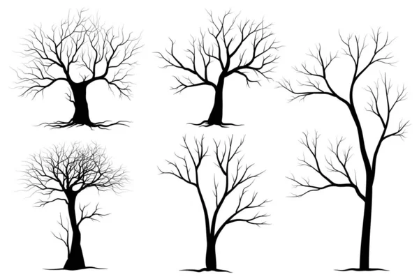 Svart Gren Träd Eller Nakna Träd Silhuetter Set Handritade Enskilda — Stock vektor