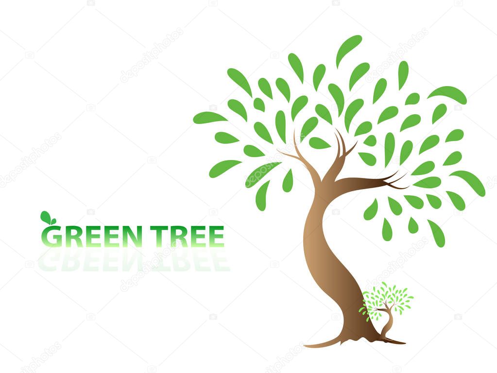 Big tree with green leaves looks fresh. And green grass Can be used for your work.