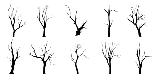 Black Branch Tree Oder Naked Trees Silhouetten Gesetzt Handgezeichnete Isolierte — Stockvektor