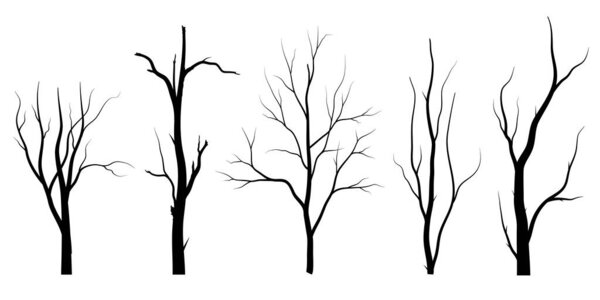 Black Branch Tree or Naked trees silhouettes set. Hand drawn isolated illustrations.