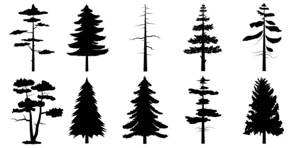 Verzameling Van Zwarte Bomen Pictogram Kan Worden Gebruikt Ter Illustratie — Stockvector